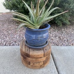 Wooden Plant Stand