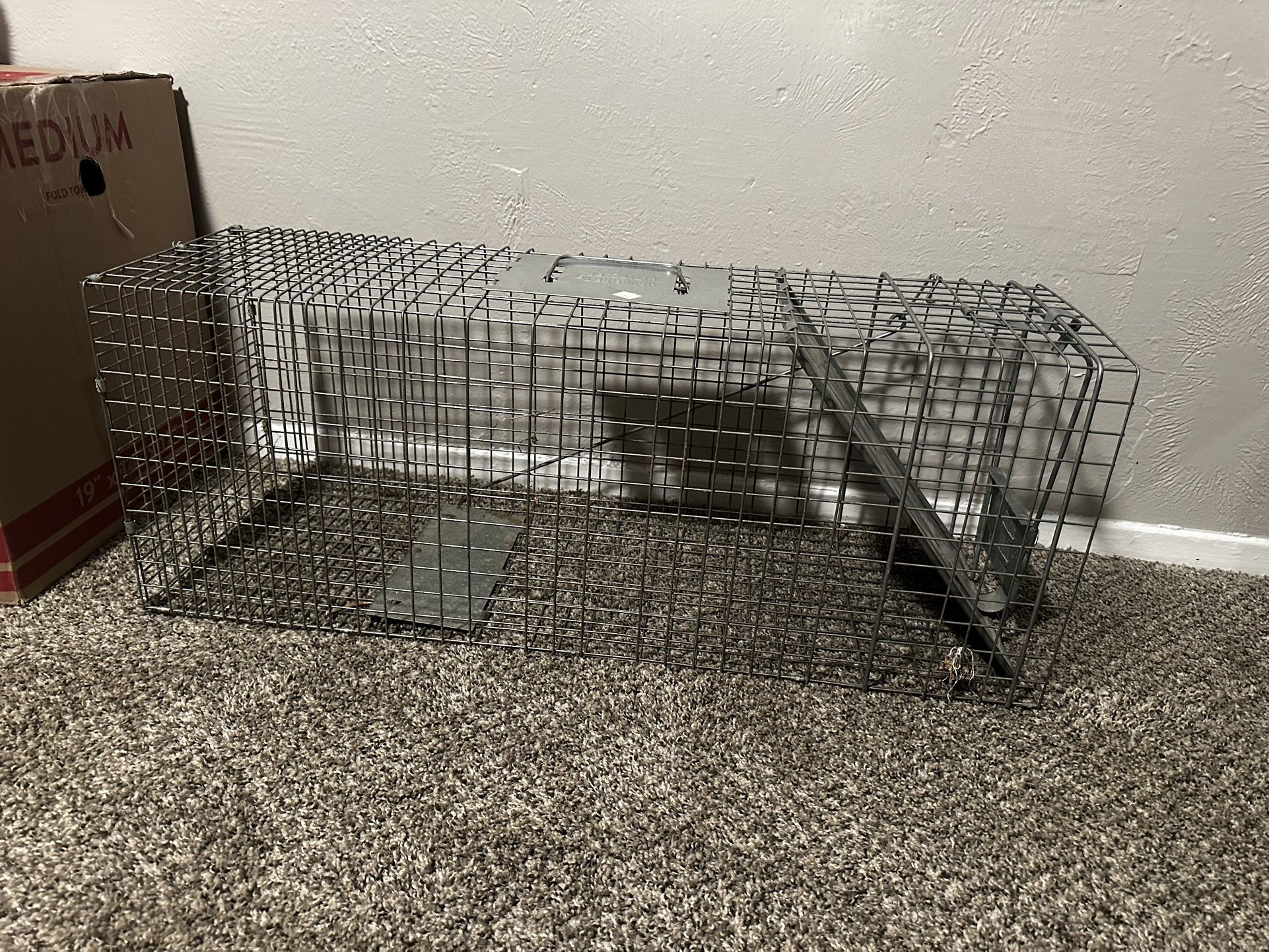Critter Trap