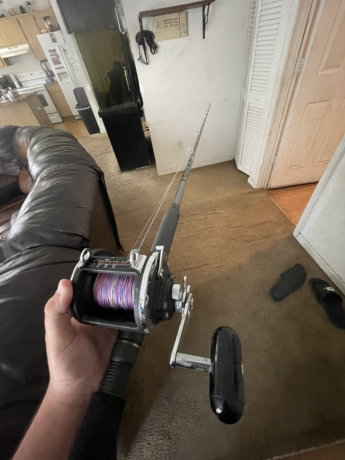 Daiwa Sealine 400h Tree With A Dogfish Stick #16 8 Foot Rod