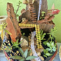 Succulent Arrangement 