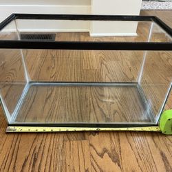 Terrarium 
