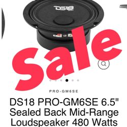 Ds18 Pro Gm6.5se Speakers 