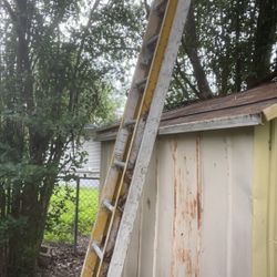 Warner Ladder 