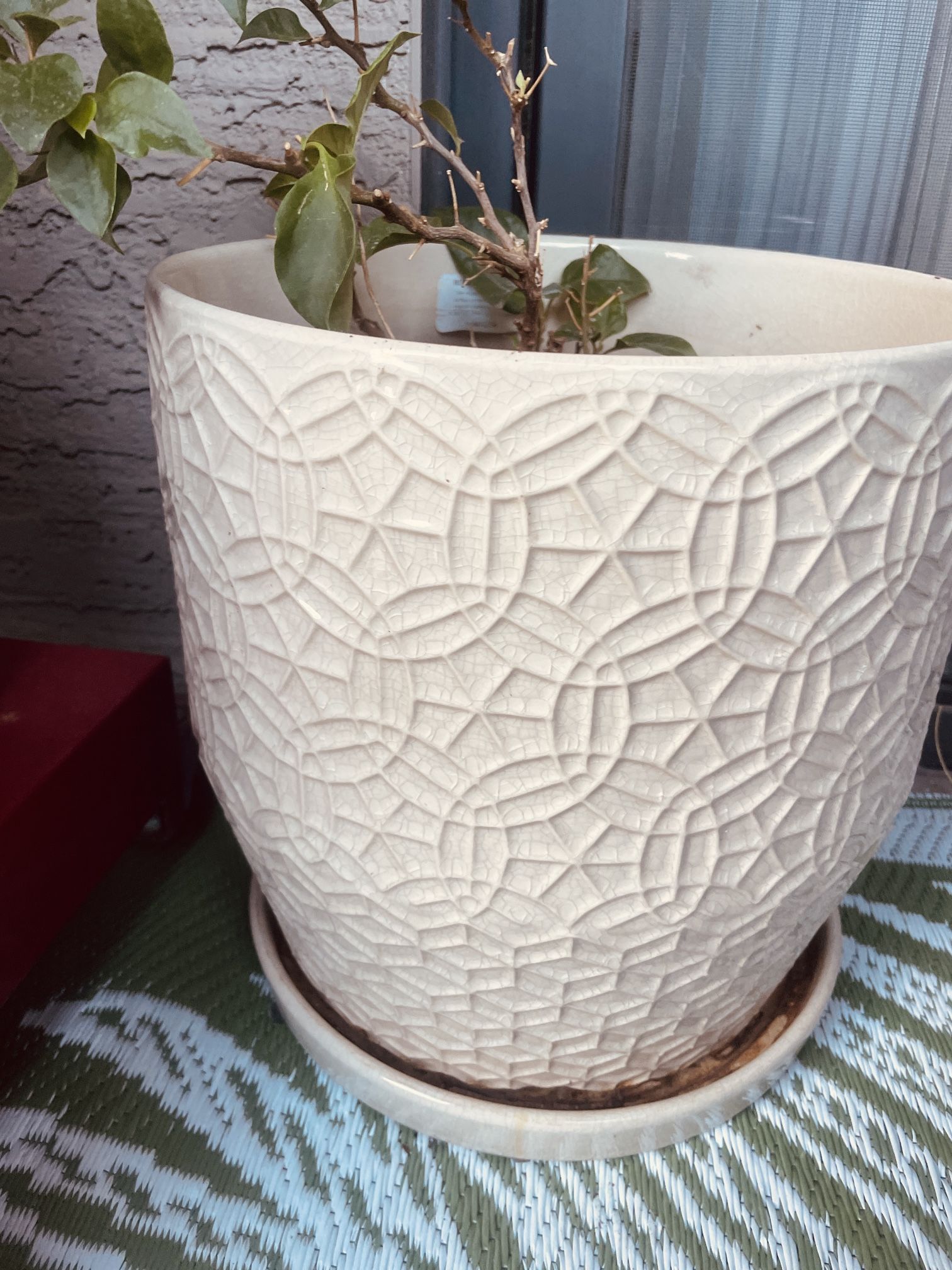 13”D 11”H   Ceramic Pot with base 