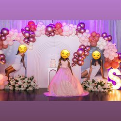 Sweet 16 Dress/Quinceanera Dress