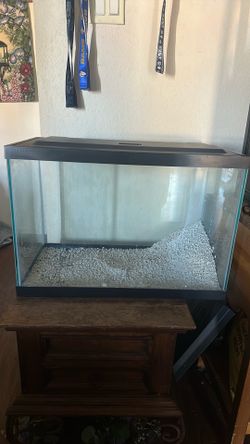20 gallon aquarium