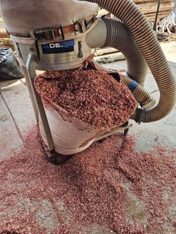 Ceder shark and More material