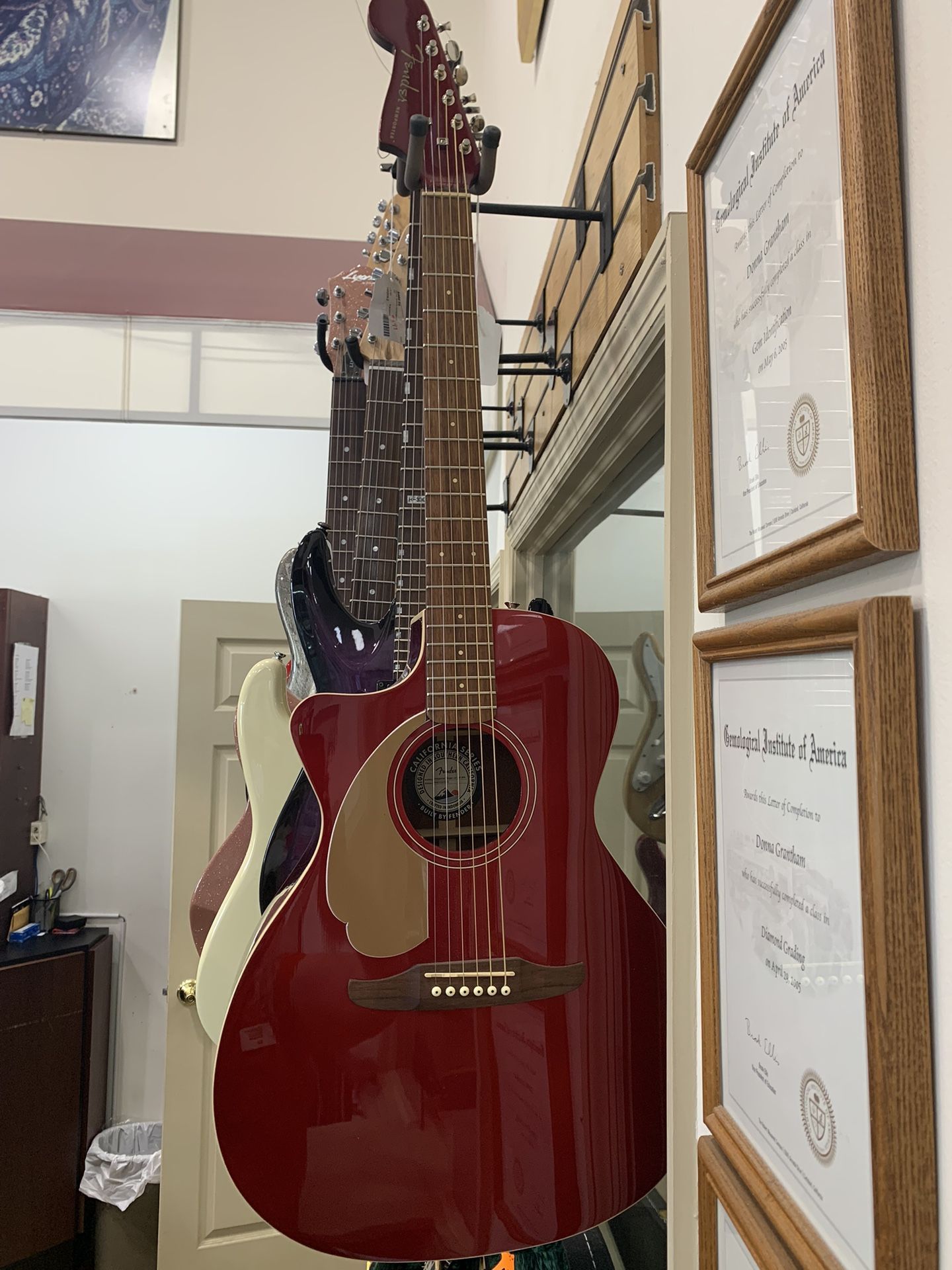 Fender Newporter Guitar