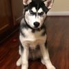 Keila