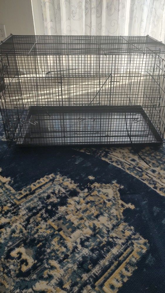 Birdcage, Medium Sized