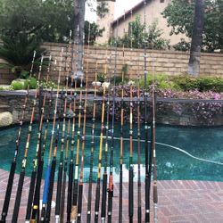 TWENTY (20) Saltwater Fishing Rods Thats range from $70-$125-Truline,Calstar,Fenwick,Sabre