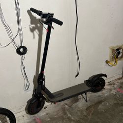 Electric Scooter 