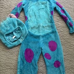 Monsters Inc Sully Costume Kids