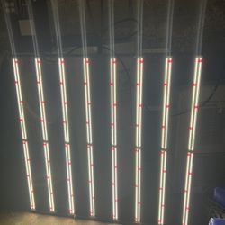 Gavita 1700e LED grow Light