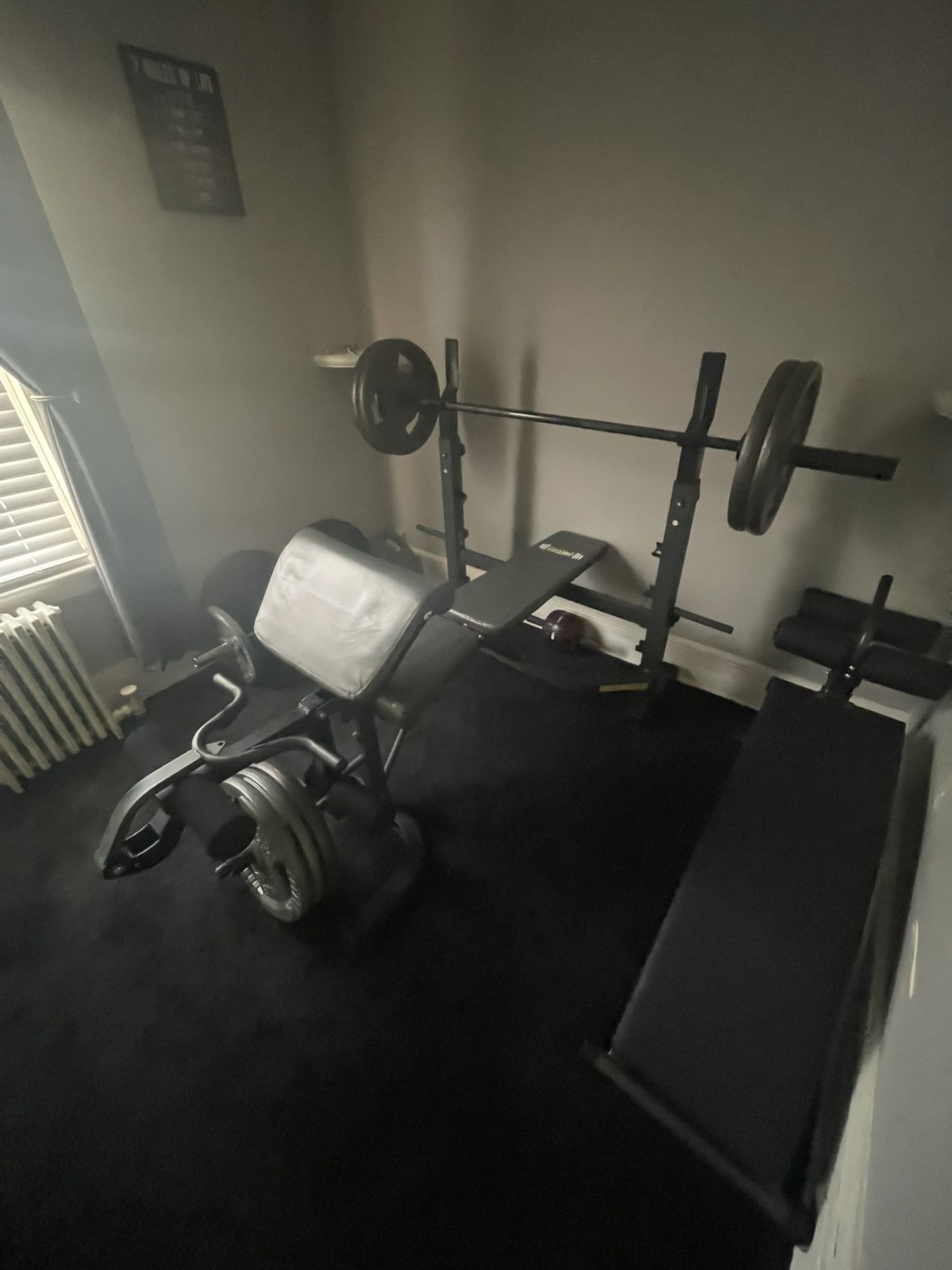 gym equipment EVERYTHING $500