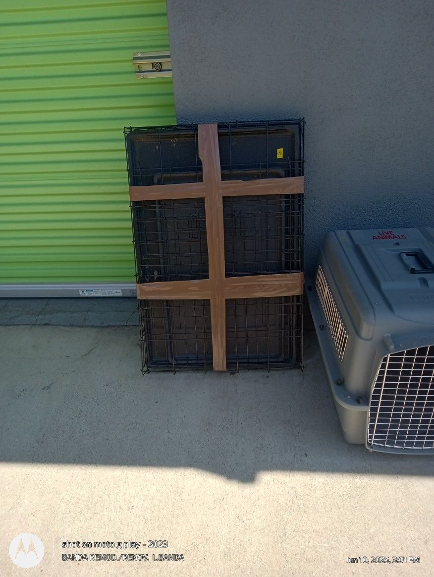 4 Dog Kennels