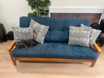 Free sofa bed (cat not included)