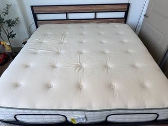 Avacado Green Mattress (Standard King) and Frame