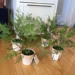 18.5" x 22" Faux Fern Potted Plant - Hearth & Hand™ with Magnolia