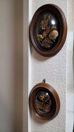 Pair Vintage Saburo Hawaiian Real Life Sea Curios Wall Hangins