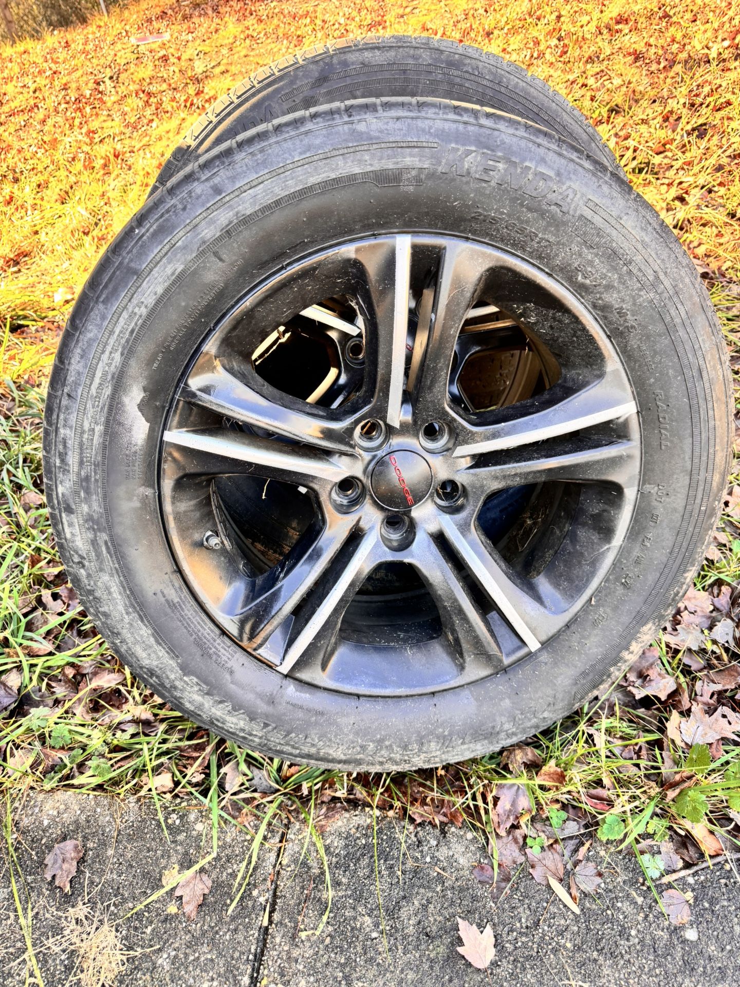 Dodge Charger|Avenger Rims