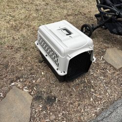 dog carrier 