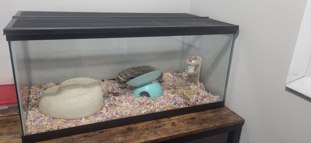 Used 40 Gallon Reptile Or Rodent Tank Cage