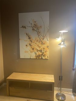 IKEA Entertainment TV stand Floral Painting Floor Lamp