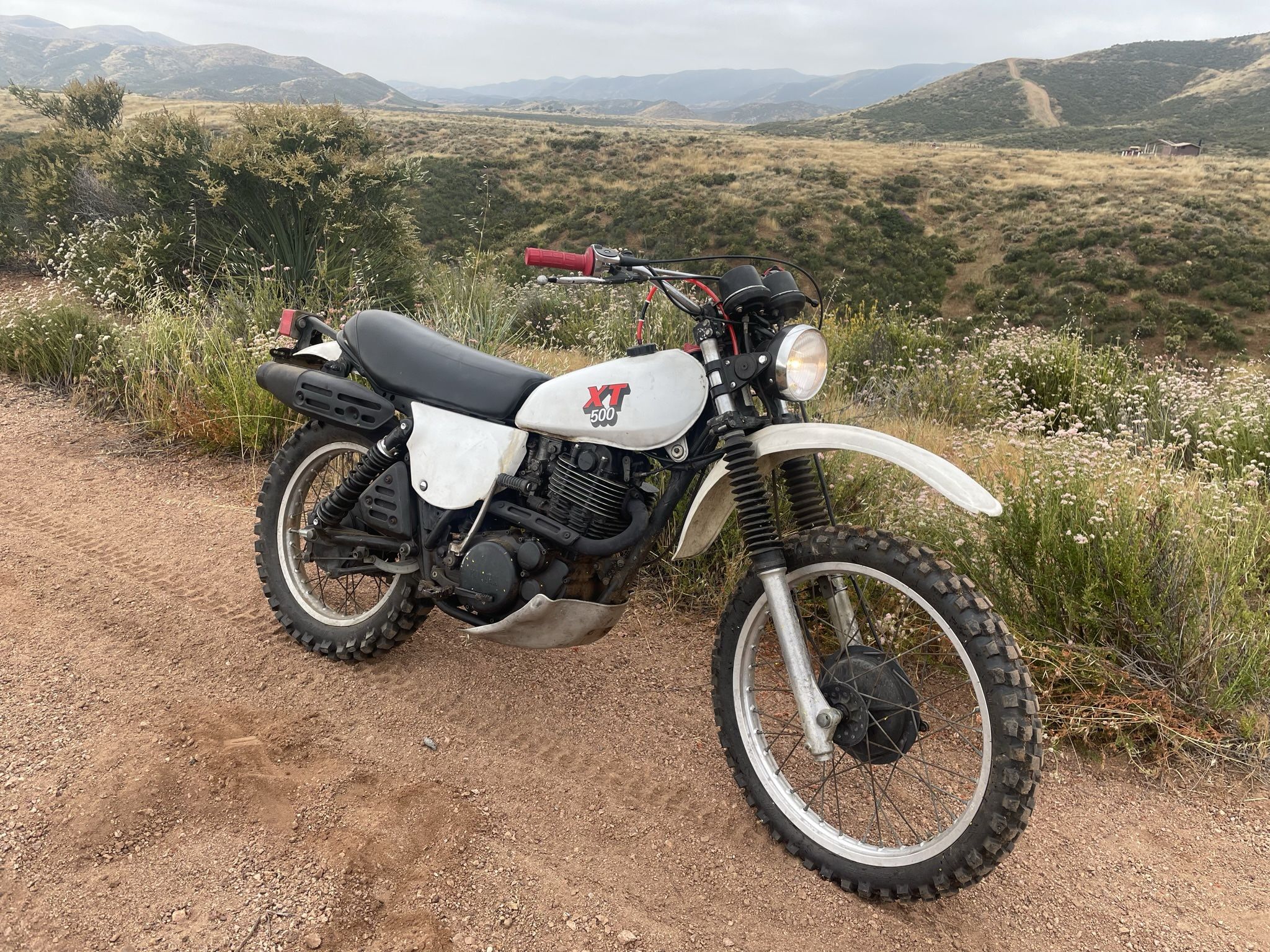 1980 yamaha xt500 for sale