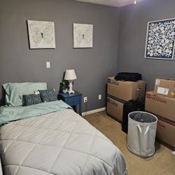 Twin Bed/Frame/side Table And Lamp