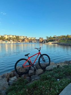Throne 29er