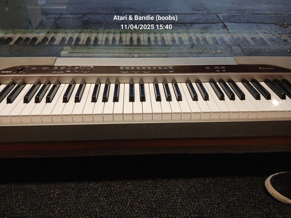 Casio Keyboard Needs Power Cord But Does Work. 