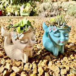 🔥 🧜‍♀️ 🩵 💛 🧜‍♀️ Unique Mermaid Planter w Succulent Plant 🪴 🪴 