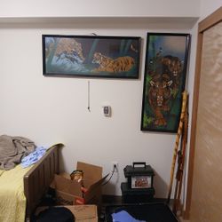 Asian Tiger Pictures