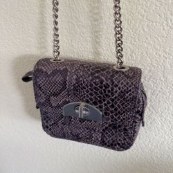 Leopard Print Purse