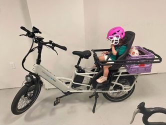 Lectric Ebike cargo