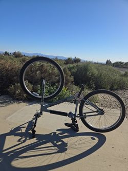 SE Bikes Big Ripper BMX Bike