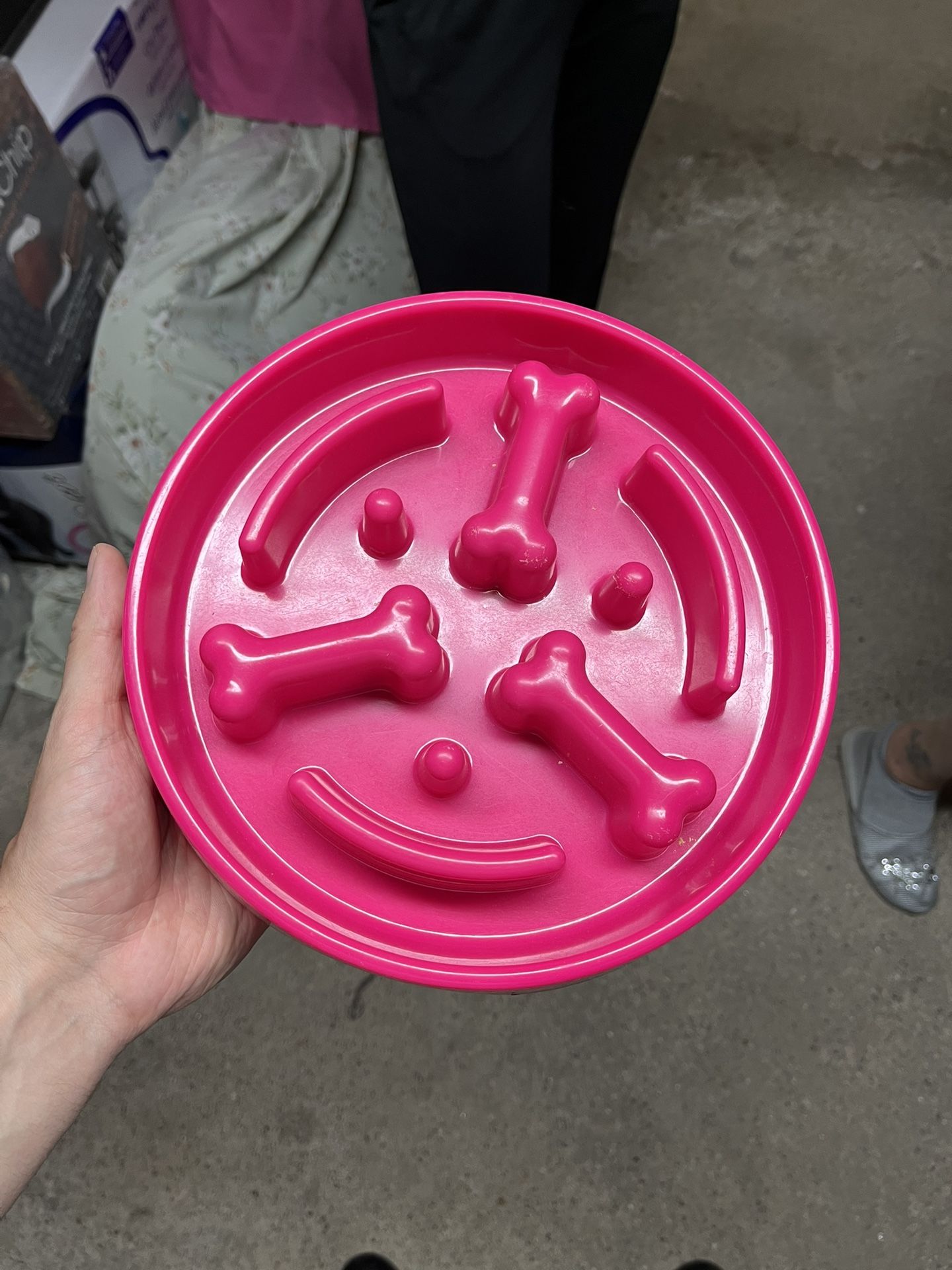 Dog Bowl