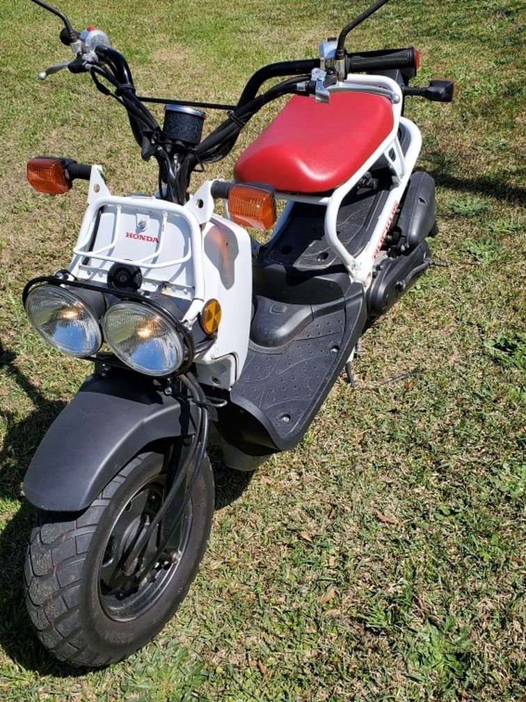 Honda Ruckus For Sale ZeCycles