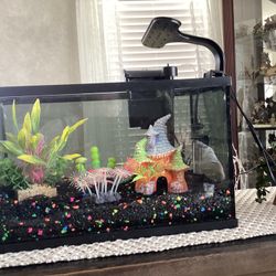 Fish Tank