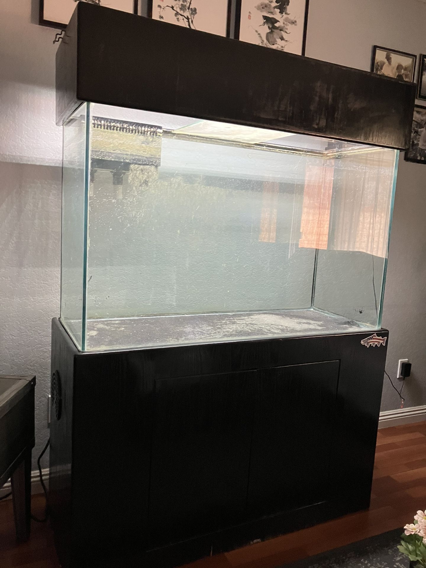 Show Tank