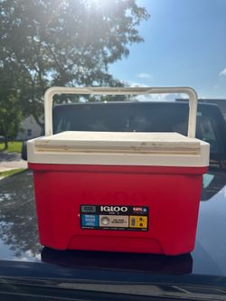 Mini Ice cooler