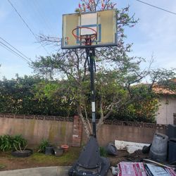 Nba Basketball Hoop
