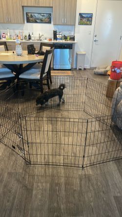 Dog pen