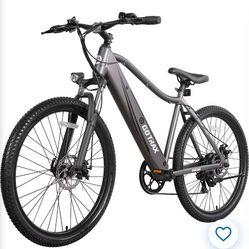 Ebike