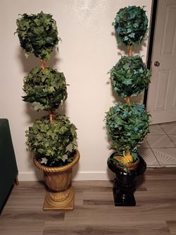 Roman tree's with Roman pots