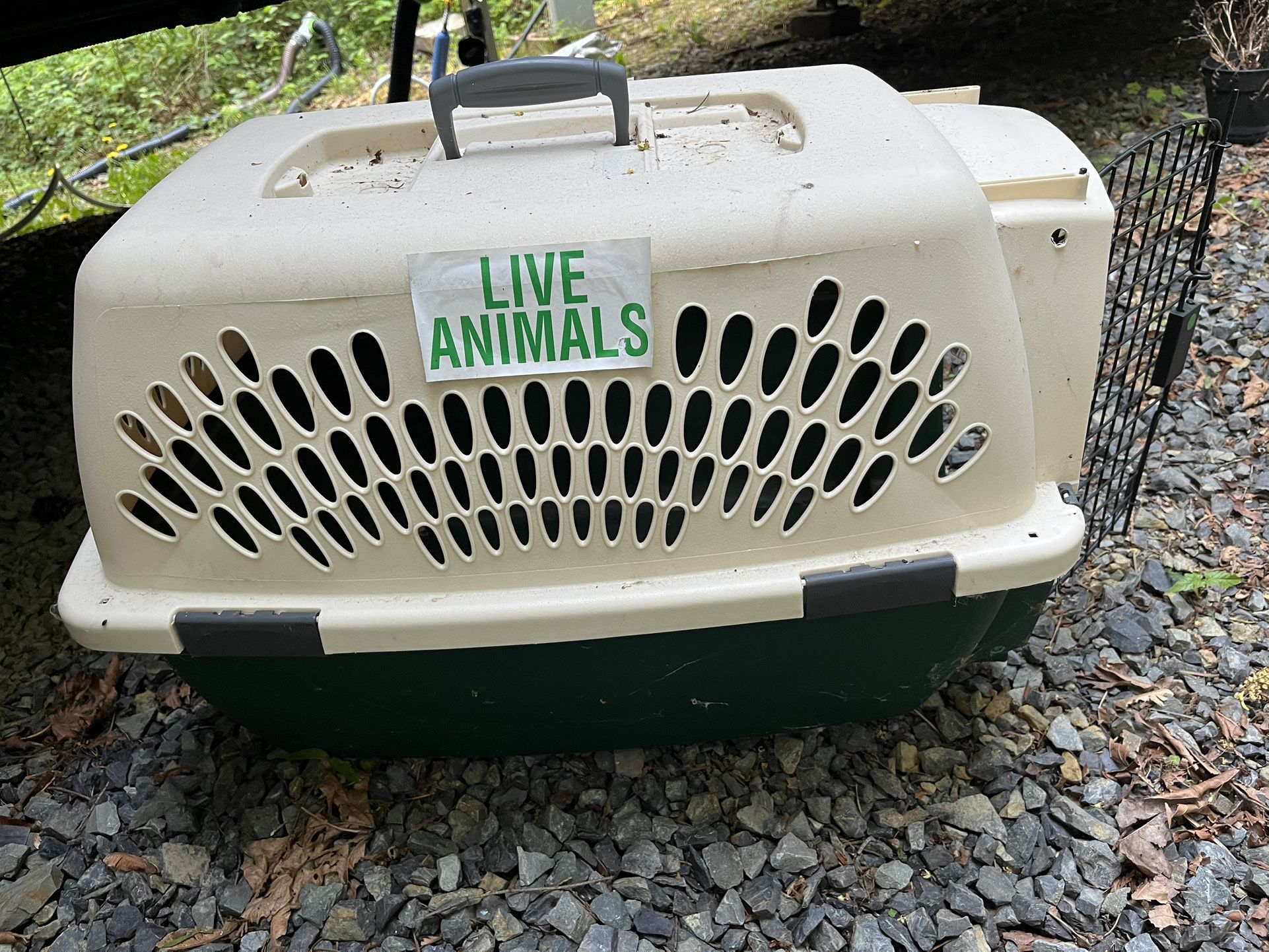 Pet Carrier