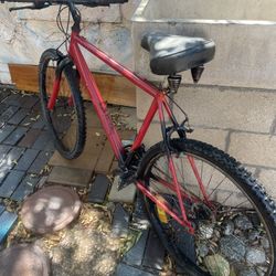 Bicycle