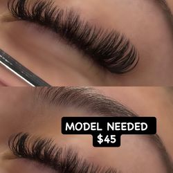 Lash Model Needed