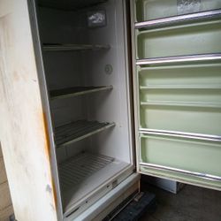 Upright Freezer 